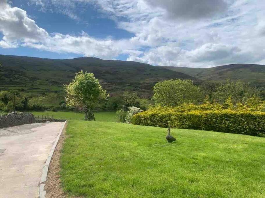Mountain House Omeath Near Carlingford Βίλα O Meith Εξωτερικό φωτογραφία