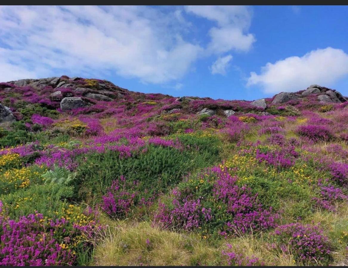 Mountain House Omeath Near Carlingford Βίλα O Meith Εξωτερικό φωτογραφία